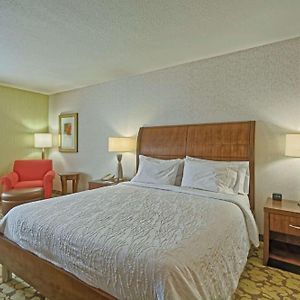 Premium King Room